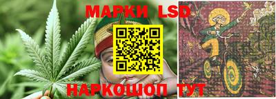 стаф Дмитров
