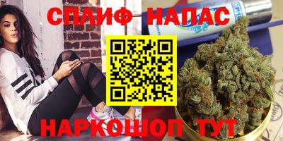 стаф Дмитров