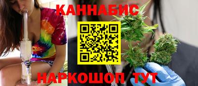 индика Долгопрудный