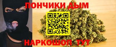 индика Долгопрудный