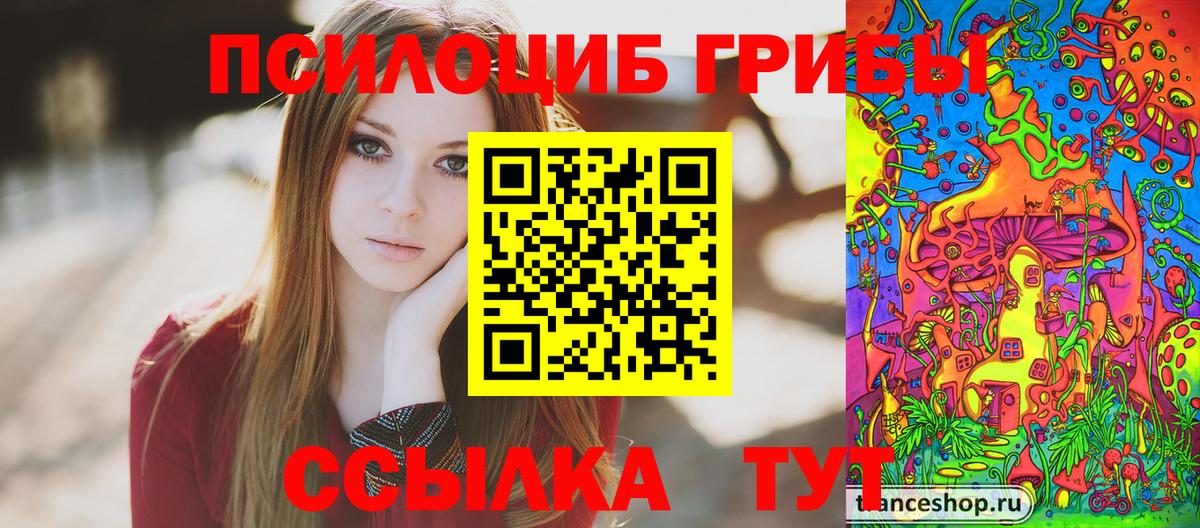 Прохладный  Галлюциногенные грибы ЛСД  Вход с VPN  Галлюциногенные грибы Cubensis 
