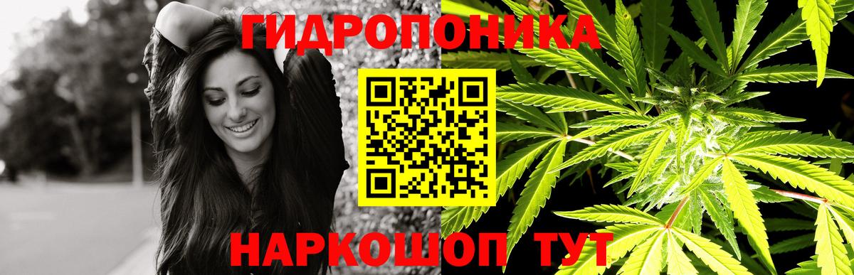 Бошки марихуана семена  Каннабис Amnesia  Марихуана OG Kush  Вход с VPN  Прохладный  МАРИХУАНА VHQ 